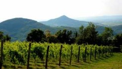 Euganean Hills, Volcanoes and Vineyards, photography by jane gifford