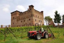 grinzane cavour castle near alba, piemont - italain gourmet travel- jane gifford's exclusive photographic travel guide to italy