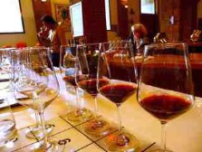 barolo wine-tasting, fontanafredda wine estate, serralunga d'alba, piemont, italian gourmet travel - jane gifford's exclusine photographic travel guide to italy