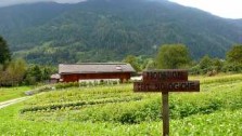 Italy, Trentino, Casa al Campo Restaurant and Organic Farm, photographer  jane gifford, italian gourmet travel - your exclusive photographic travel guide to Italy 