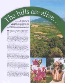 The Hills are Alive, magazine feature on the euganean hills in Italia! magazine by jane gifford