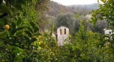la sorgente working farm and agriturisma in the hills above sorrento, campania. italian gourmet travel - jane gifford's exclusive photographic travel guide to italy