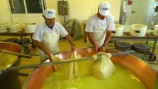 Italy, Emilia Romagna, making parmesan cheese at Scalabrini traditional dairy, Parmigiano Reggiano, Reggio Emilia. italian gourmet travel, your exclusive photographic travel guide to italy, photographer jane gifford